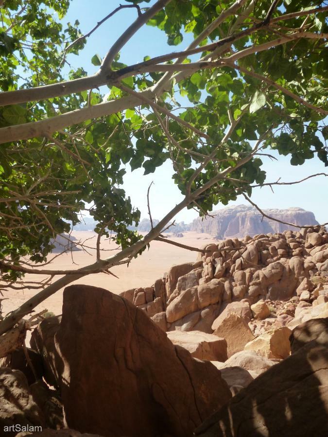 Sunrise Camp Hotel Wadi Rum Exterior photo