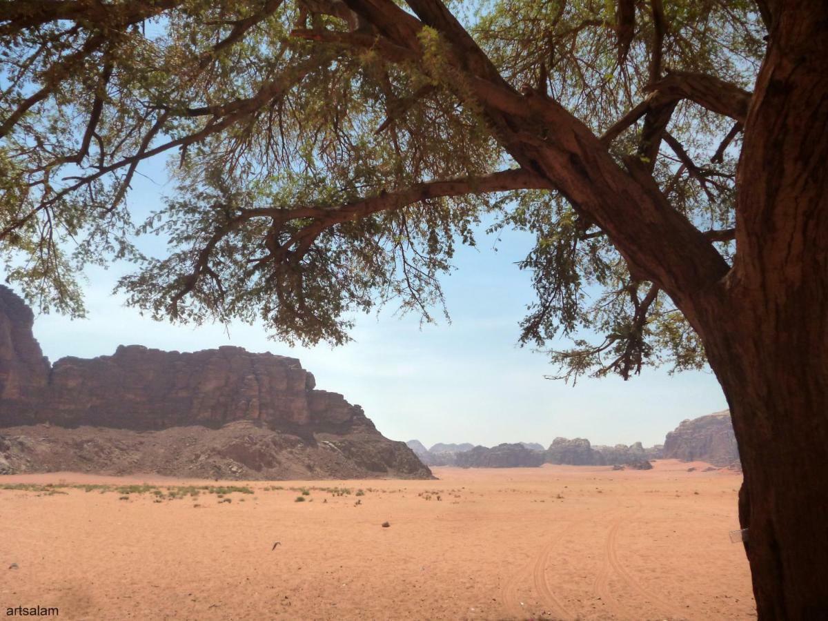 Sunrise Camp Hotel Wadi Rum Exterior photo