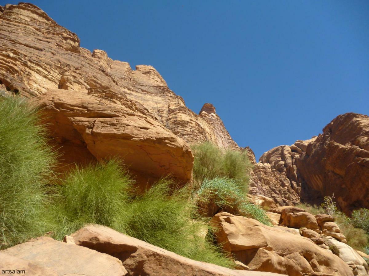 Sunrise Camp Hotel Wadi Rum Exterior photo