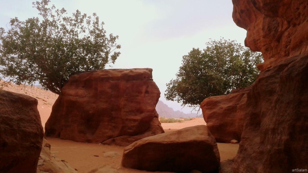 Sunrise Camp Hotel Wadi Rum Exterior photo
