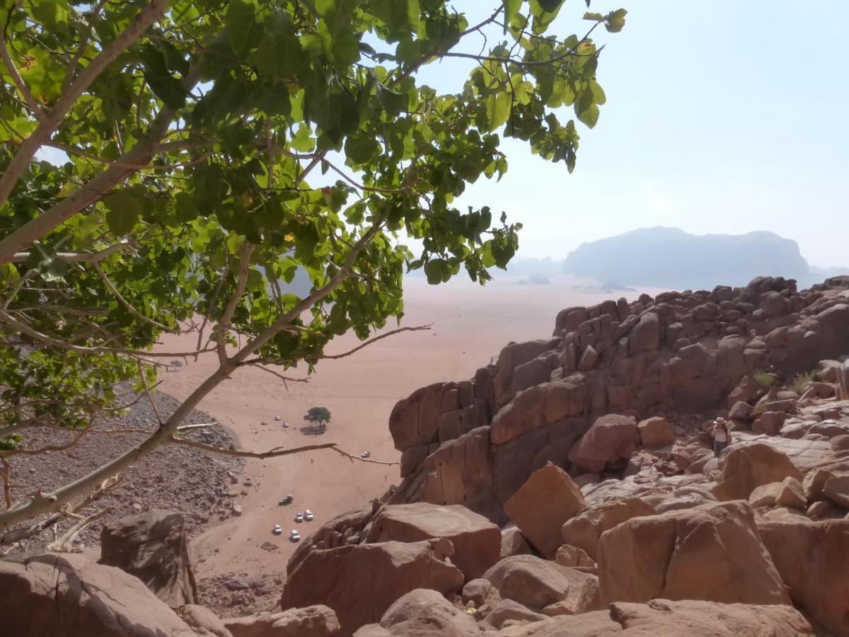 Sunrise Camp Hotel Wadi Rum Exterior photo