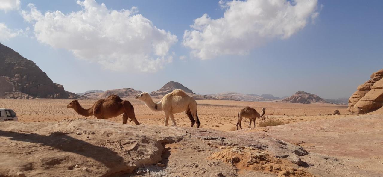 Sunrise Camp Hotel Wadi Rum Exterior photo
